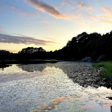 Luxury With Beautiful Location * Florvag